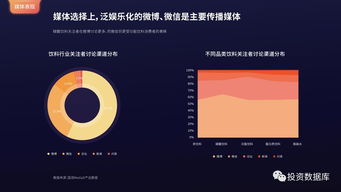 2017年互联网发展报告 国双数据中心洞察互联网数据服务趋势