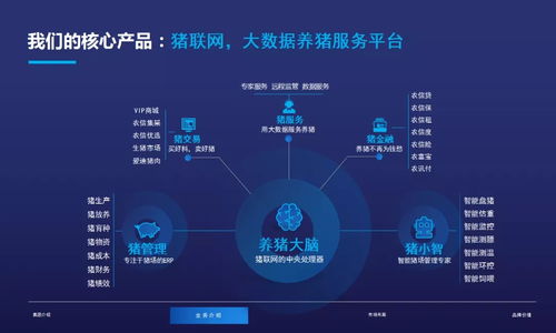 大数据与养猪业深度融合，农信互联引领行业变革